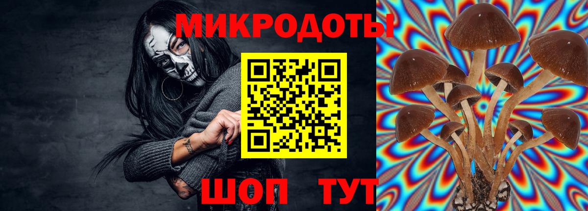 Галлюциногенные грибы MAGIC MUSHROOMS Кубинка