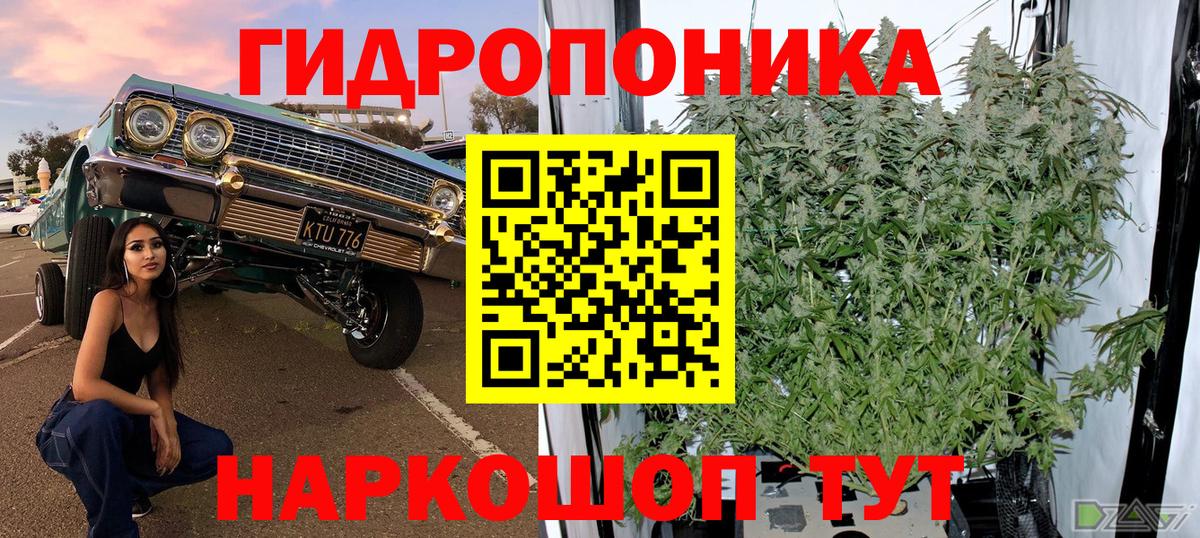 Каннабис индика  Бошки Шишки гибрид  Шишки марихуана индика  Кубинка  Конопля Ganja  Вход с VPN 